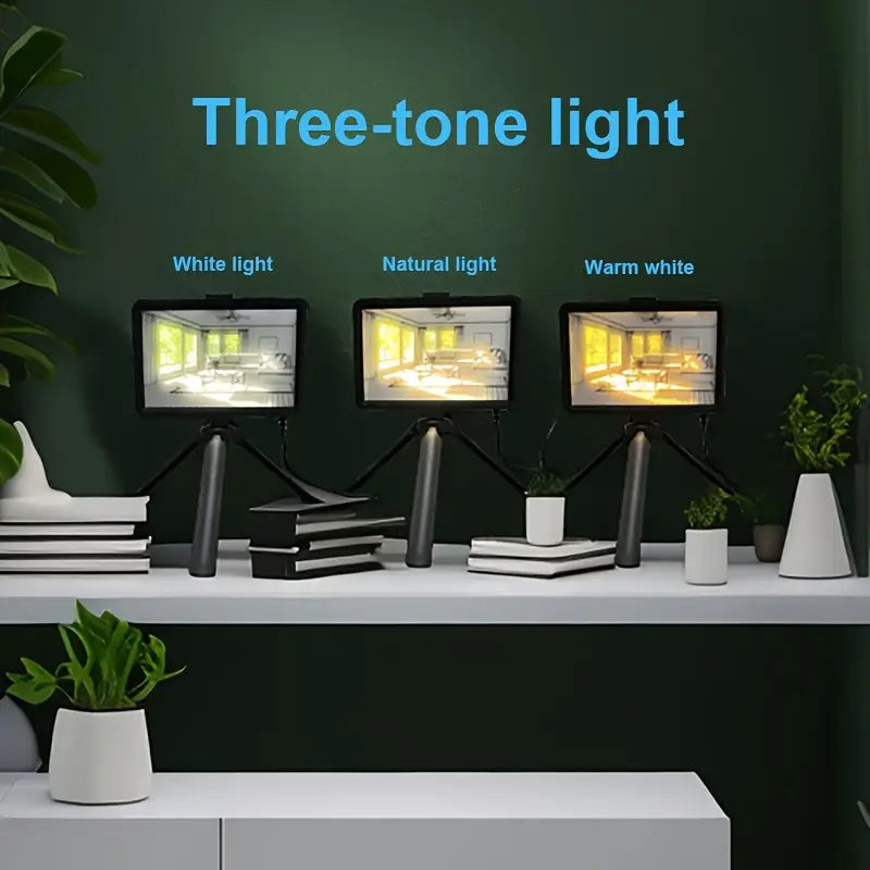 Glowing Art LED Luminous Photo Frame with Decorative Lights for Bedroom and Living Room