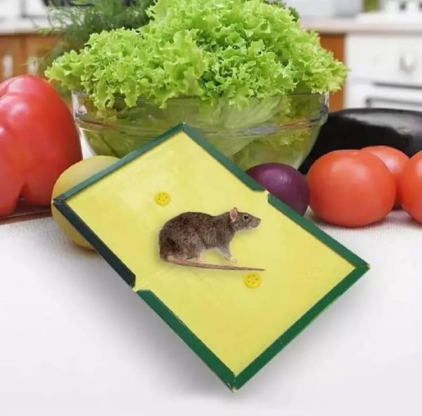 Mouse Glue Trap Pack of 5 – Strong Adhesive Rodent Catcher Boards for Home, Kitchen & Office Use