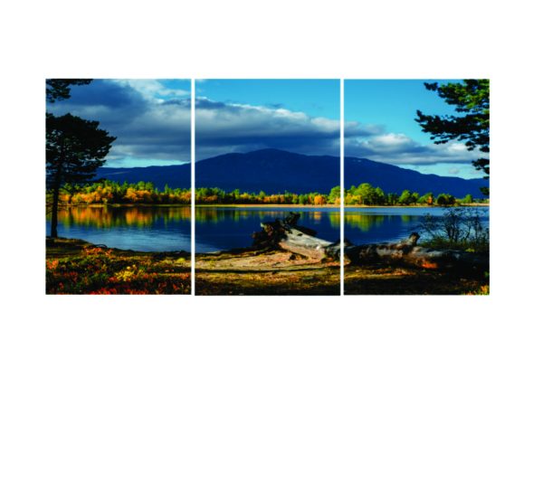 Set Of 3 Nature Wall Art Wooden Phototile Frames – 8x11 Inches Decorative Canvas for Home Decor