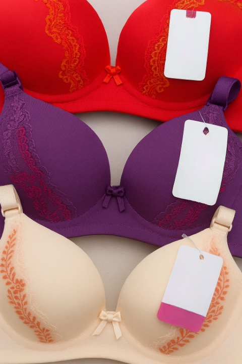 Silk embroidered padded bra for women – luxury silk undergarment with stylish embroidery and everyday support in random colors