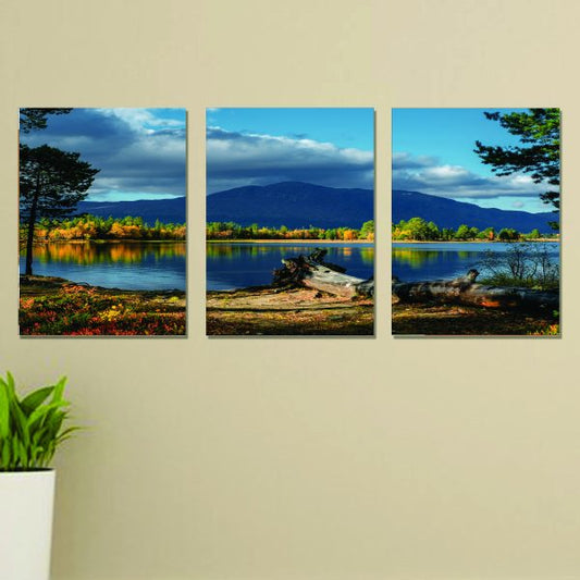 Set Of 3 Nature Wall Art Wooden Phototile Frames – 8x11 Inches Decorative Canvas for Home Decor